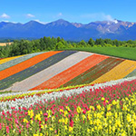 北海道・東北の観光情報