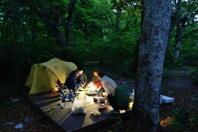 	白山ブナの森キャンプ場	