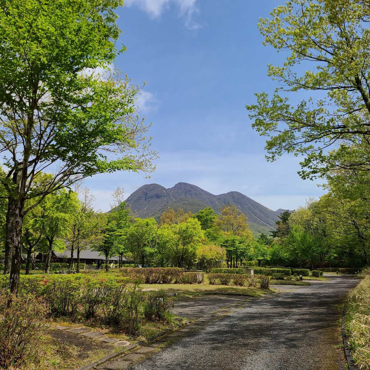 	くじゅうやまなみキャンプ村	