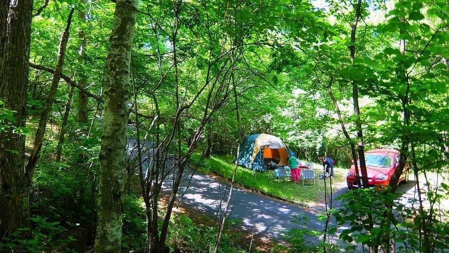 	三城いこいの広場オートキャンプ場	