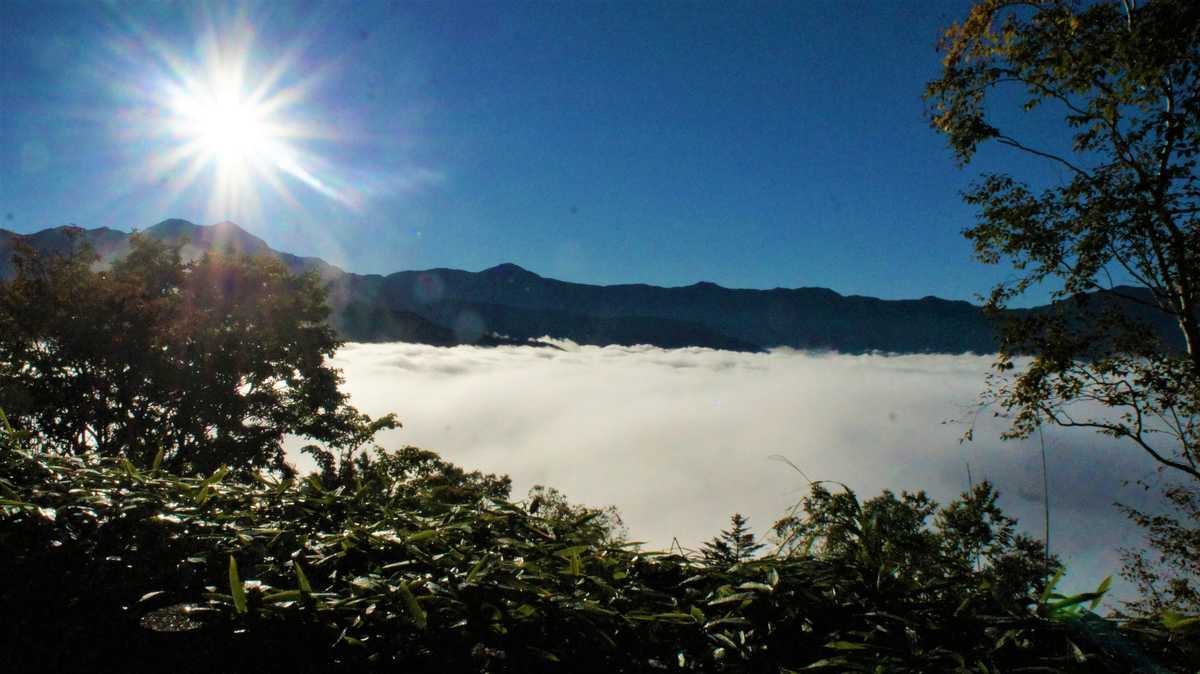 	しらびそ高原山岳オートキャンプ場	